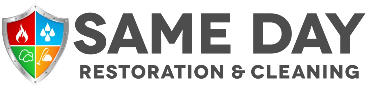 same day logo