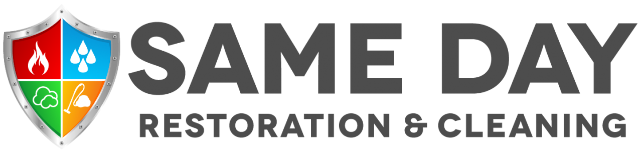 same day logo